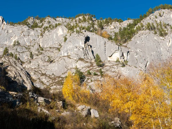 Herbstlicher Blick Auf Den Altai Vor Blauem Himmel Che Chkysh — Stockfoto