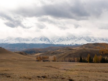 Altai dağlarının sonbahar manzarası. Severo-Chuysky tepesi, Chuysky yolu, Altai Cumhuriyeti, Rusya.