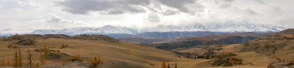 Panorámás Őszi Kilátás Altai Hegységre Havas Csúcsok Vegyes Erdő Severo — Stock Fotó