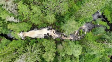 Jukankoski Rus Karelia 'da şelale şelalesi düştü. Yaz yeşili orman