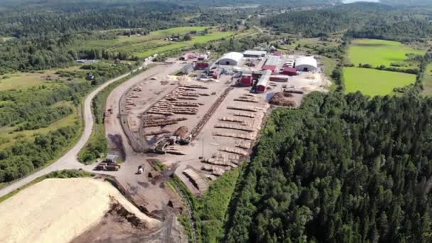 Luchtfoto houtfabriek. Montagelijn bomen. Boards een stapel zaagsel. — Stockvideo