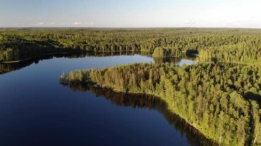 Yeşil ormanda güzel bir göl tepeleri olan Rus Karelia Ladoga yakınlarında günbatımı