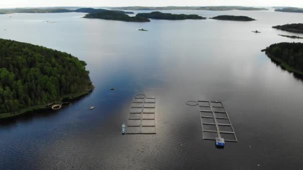 Uitzicht vanuit de lucht op de viskwekerij in het meer. kooien Russische Karelië. Ladoga. Karjala — Stockvideo