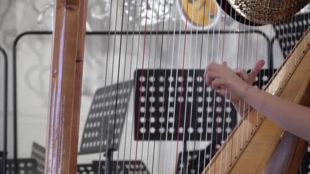 Manos joven chica mujer jugar las cuerdas de la arpa Música stand en el fondo — Vídeo de stock