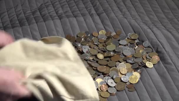 様々な国のコインを手で袋の混合物に流し込み — ストック動画