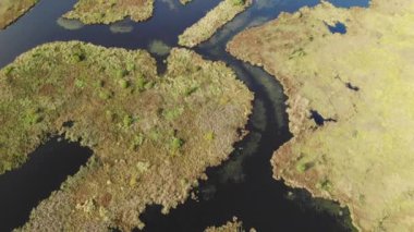 Bataklık ve doğa koruma alanında bir nehir. Yukarıdan aşağıya doğru uçan hava manzarası