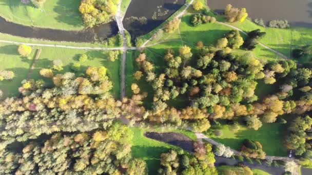 Podzimní park s cestičkami a jezírky. Žlutozelené stromy. Pohled shora dolů. — Stock video
