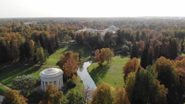 Caminhe outono parque coroa e folhas de árvore amarela "Templo da Amizade" Pavlovsk Park — Vídeo de Stock