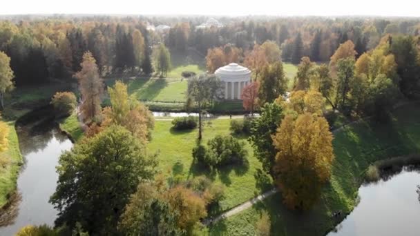 Caminhe outono parque coroa e folhas de árvore amarela "Templo da Amizade" Pavlovsk Park — Vídeo de Stock