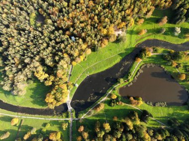 Yolları ve gölleri olan bir sonbahar parkı. Sarı yeşil ağaçlar. Tepeden tırnağa bak.