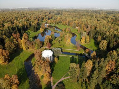 Sonbahar parkında yürü taç ve yapraklar sarı ağaç 