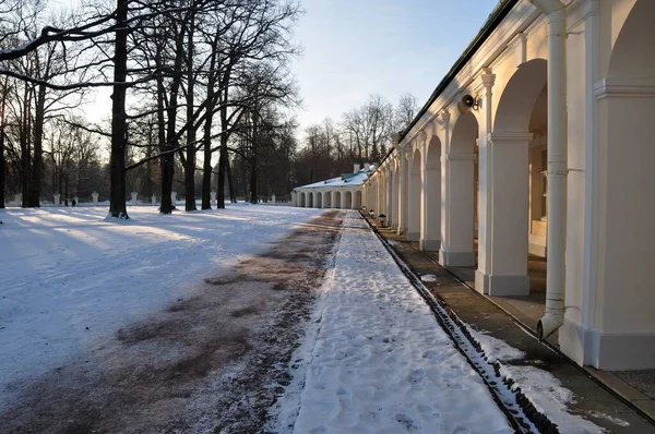 Colonnade Oranienbaum Lomonosov résidence royale avec parc ensoleillé journée d'hiver enneigée — Photo