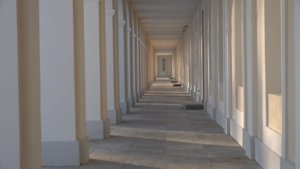 La jeune femme se penche dans le passage des arcs avec des colonnes et des ombres Hiver — Video