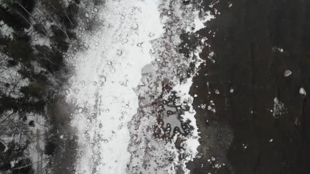 Sneeuw winter kust golven stenen en bos met bomen. Baai of zee aan het meer. — Stockvideo