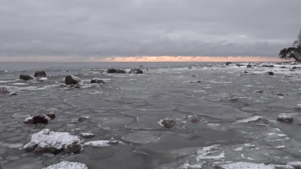 Finlandiya Körfezi. Kış, gün batımıdır Çamlı Pierce. Yuvarlak buz dalgalar halinde yüzer — Stok video