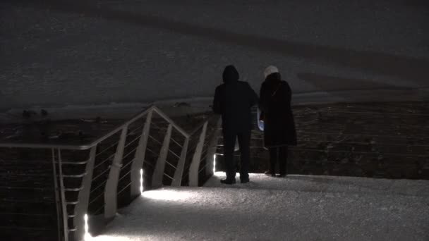 两个人在冬夜喂鸭子.解冻的水雪 — 图库视频影像