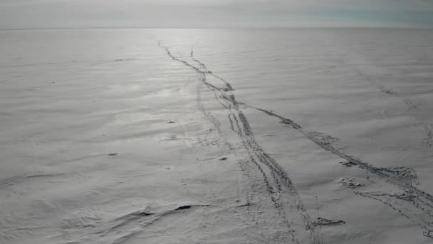 Golfo de Finlandia hielo con nieve. huellas dunas de nieve. pista de esquí. Avión de invierno — Vídeo de stock