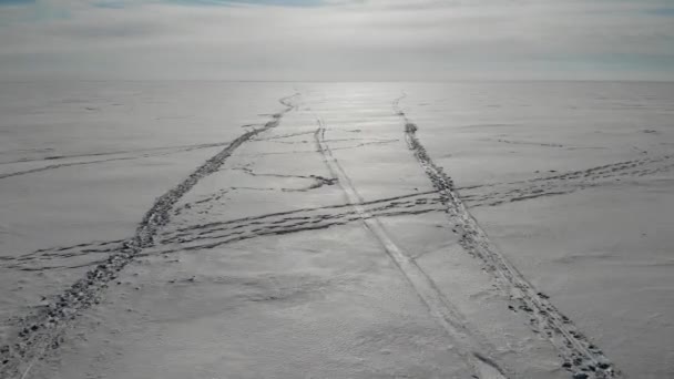 Lód w Zatoce Fińskiej ze śniegiem. Ślady stóp wydmy śnieżne. tor narciarski. Zimowy samolot — Wideo stockowe