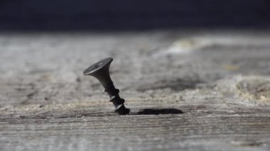 Çivi sökücü tahtadan vidayı çıkarır. Makro görünümü kapat.