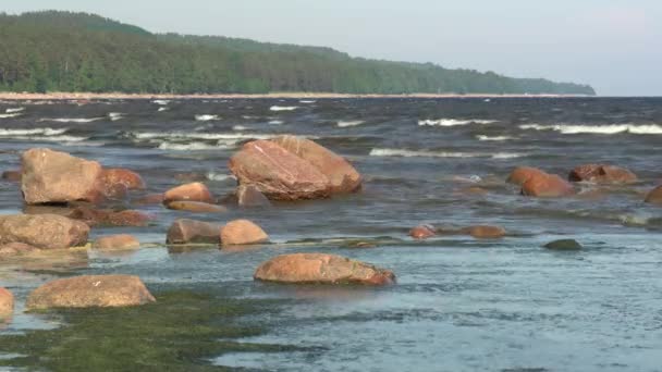 フィンランドの海岸石のビーチ湾の小さな波。海だ。水が咲く — ストック動画