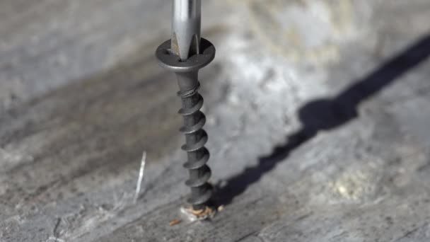 Handschraubendreher treibt die Schraube in das Holz. Nahaufnahme Makro Nahaufnahme — Stockvideo