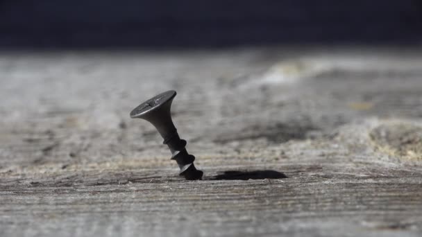 Nageltrekker trekt schroef uit hout te verwijderen. close-up bekijk macro close-up — Stockvideo