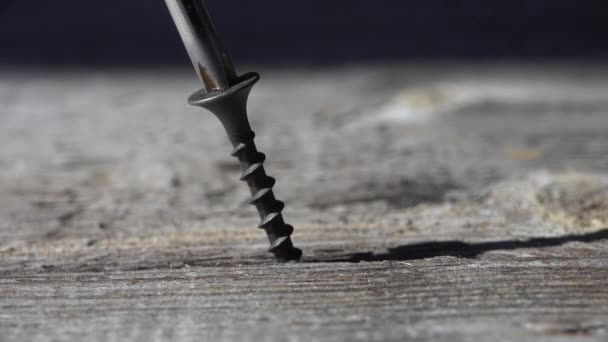 Chave de fenda de mão dirige o parafuso para a madeira. close up vista macro close-up — Vídeo de Stock