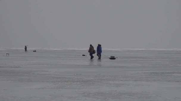 Pesca sul ghiaccio. Un gruppo di persone Molti pescatori ghiaccio sottile. Cielo grigio e invernale. — Video Stock