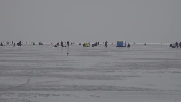 Pesca en hielo. Un grupo de personas Muchos pescadores de hielo delgado. Invierno y cielo gris. — Vídeos de Stock