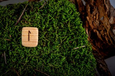 Tahtadan oyulmuş Rune. Mühür yosun ve ağaç kabuğunda yatıyor. Mühür sembolü bir tahta parçasına kazınmış.