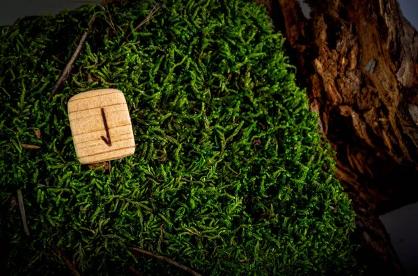 Laguz (Laukaz) rune carved from wood. The rune is lying on moss and bark. The runic symbol is burnt on a piece of wood