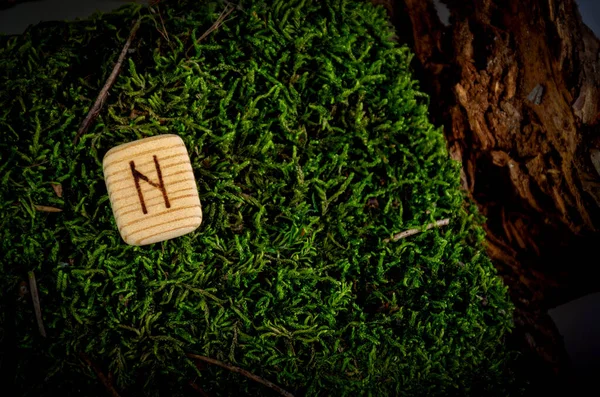 Hagalaz rune rune carved from wood. The rune is lying on moss and bark. The runic symbol is burnt on a piece of wood