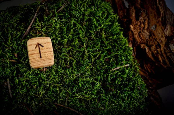 Tiwaz rune carved from wood. The rune is lying on moss and bark. The runic symbol is burnt on a piece of wood.