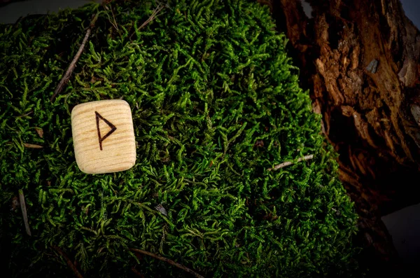 Wunjo rune rune carved from wood. The rune is lying on moss and bark. The runic symbol is burnt on a piece of wood.