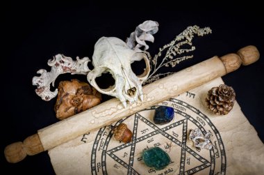 Sihirli bir ayin için hazırlık. Eski el yazmaları, kedi kafatası, doğal taşlar ve siyah arka planda kuru bitkiler..
