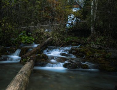 Ormanda sonbahar şelalesi