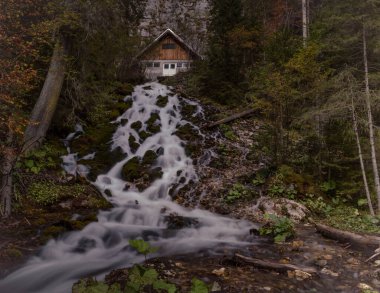 Ormanda sonbahar şelalesi