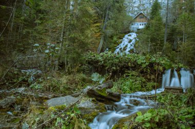 Ormanda sonbahar şelalesi