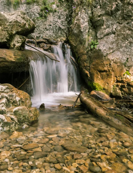 Őszi Vízesés Erdőben — Stock Fotó