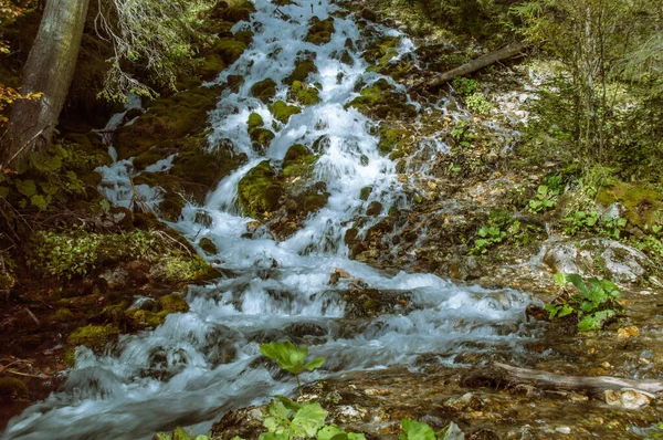 Cachoeira Outono Floresta — Fotografia de Stock