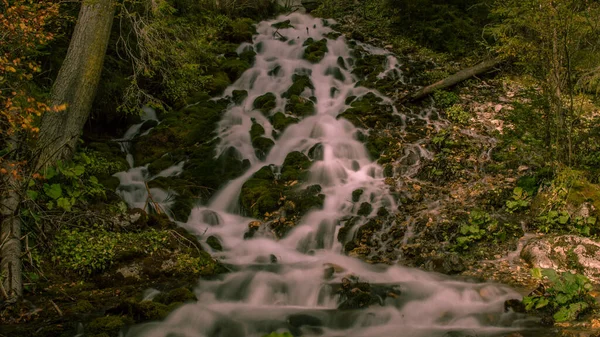 Őszi Vízesés Erdőben — Stock Fotó