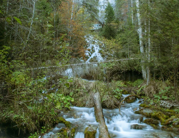 Осенний Водопад Лесу — стоковое фото