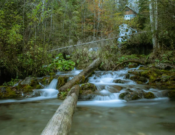 Cascata Autunnale Nella Foresta — Foto Stock