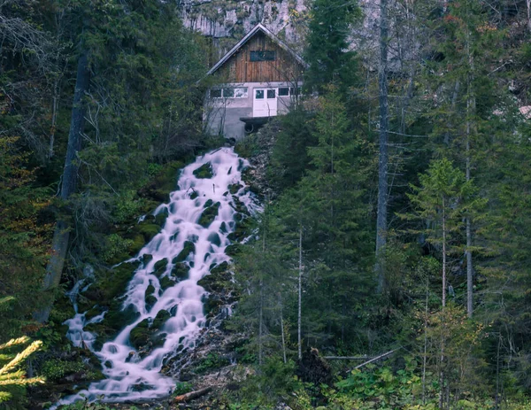 Podzimní Vodopád Lese — Stock fotografie