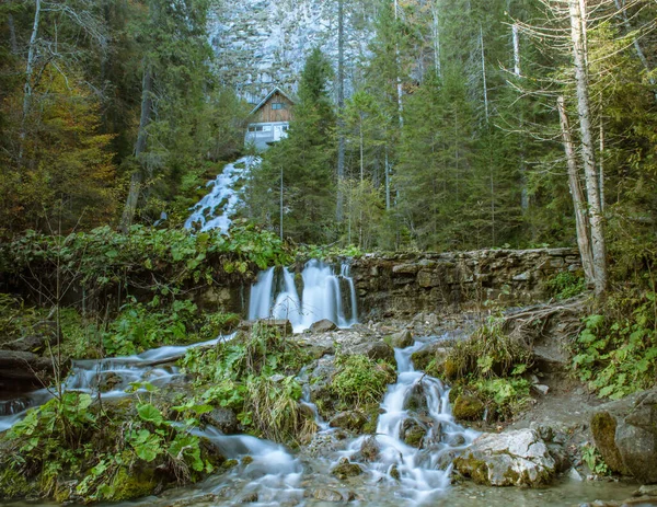 秋天的瀑布落在森林里 — 图库照片