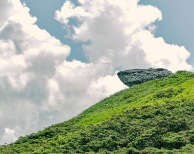 Yeşil çimlerin arasından geçmek için bekleyen heybetli bir kaya.