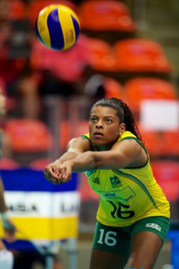 FIVB Bayanlar Dünya grand prix 2014