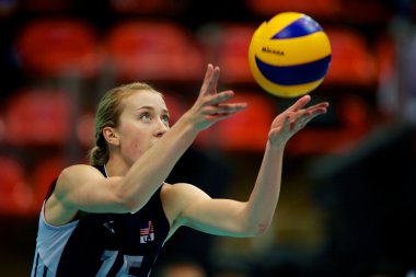 FIVB Bayanlar Dünya grand prix 2014