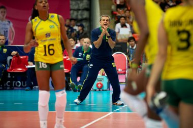 FIVB Bayanlar Dünya grand prix 2014