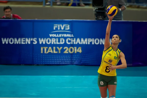 Grand Prix mondial féminin FIVB 2014 — Photo
